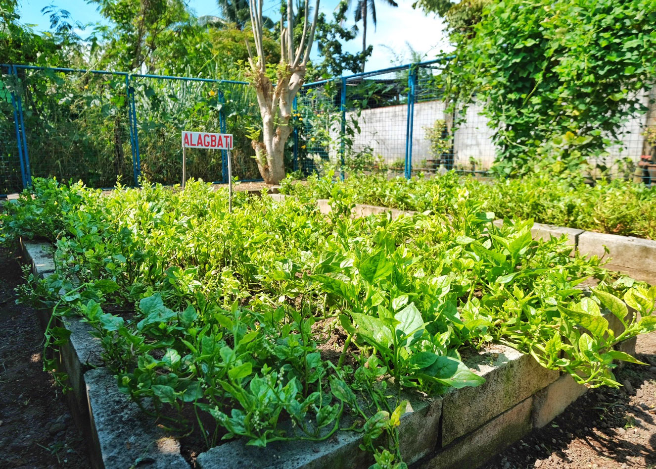 Harvesting self-sufficiency, resiliency through backyard gardening