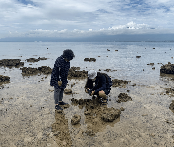 Davao-Light_UPMin-Researchers