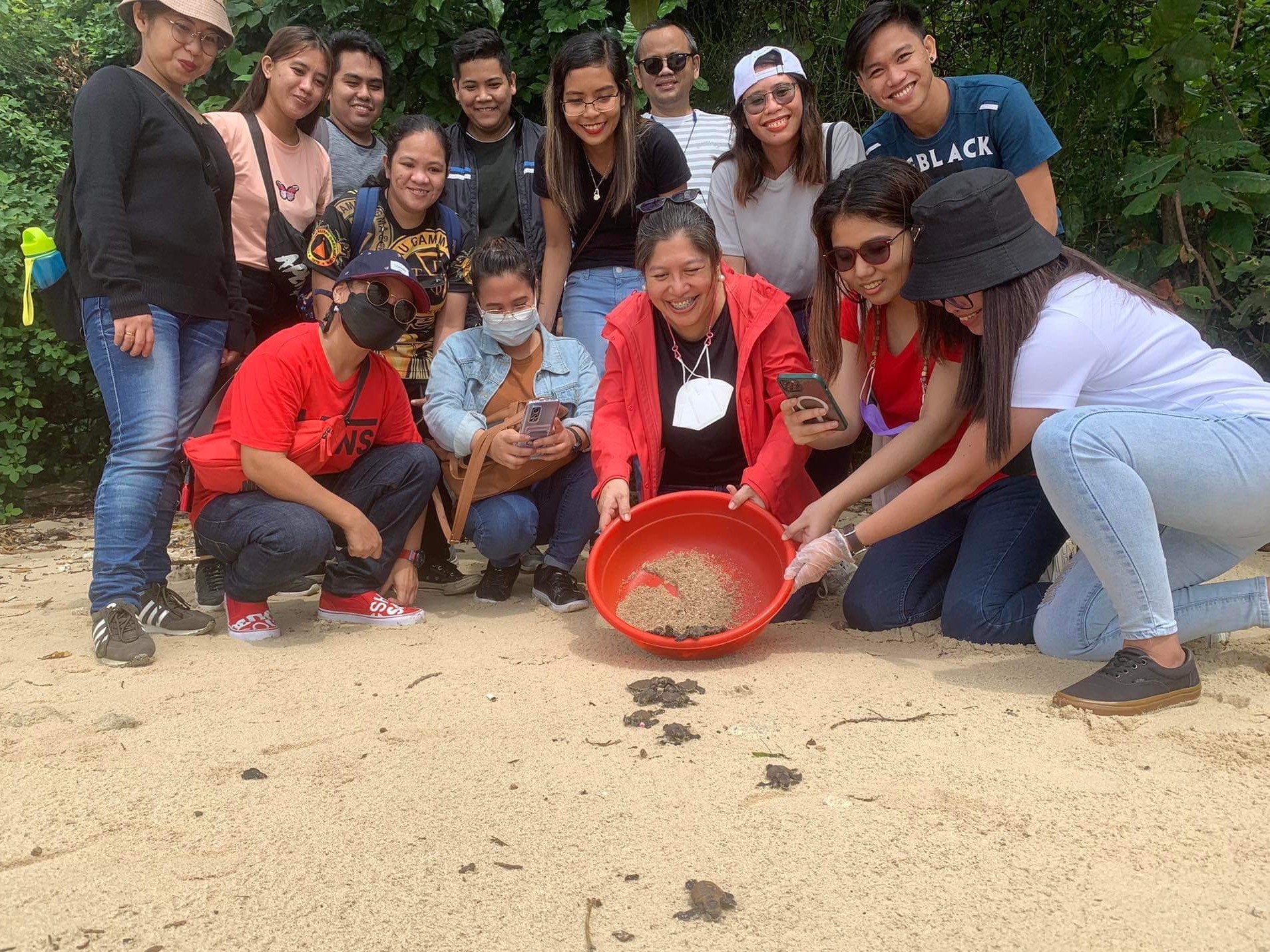Pawikan hatchlings released, two more nests discovered