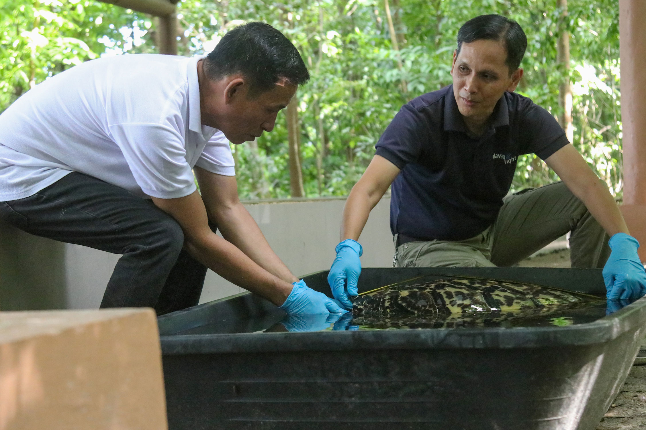 Aboitiz Cleanergy Park: A caretakers’ story