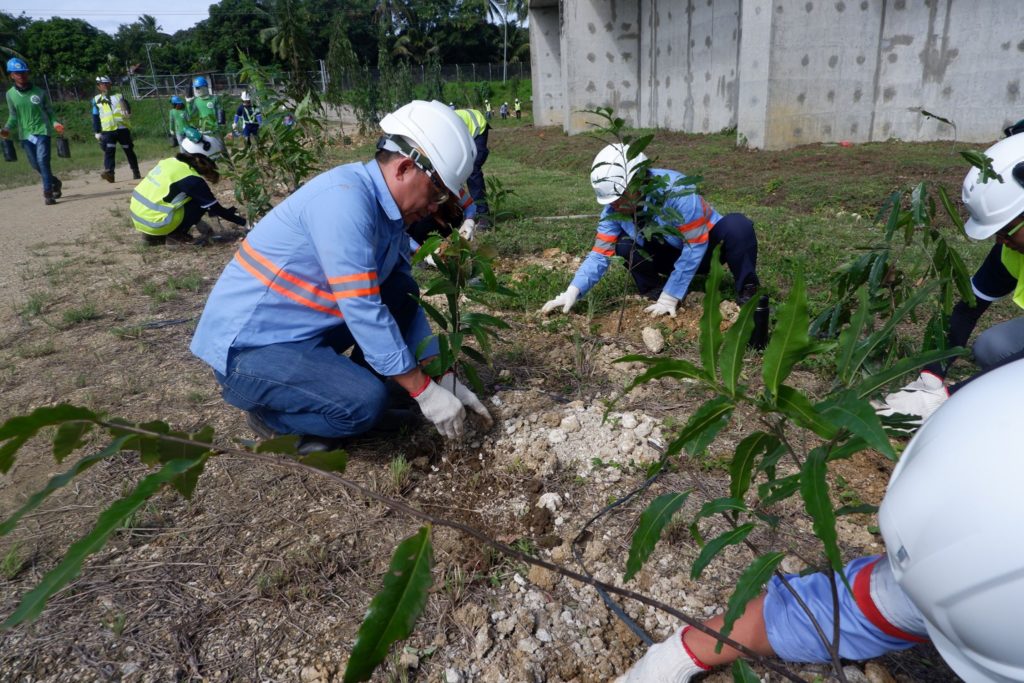 AboitizPower subsidiary continues efforts to expand carbon sink