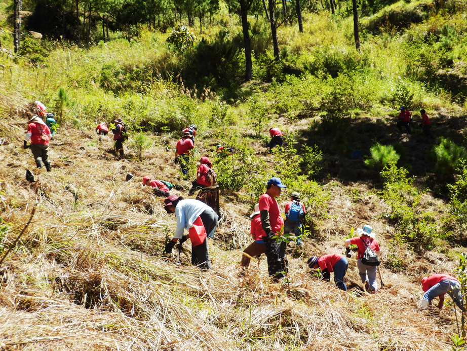 Hedcor reaffirms commitment to environmental sustainability