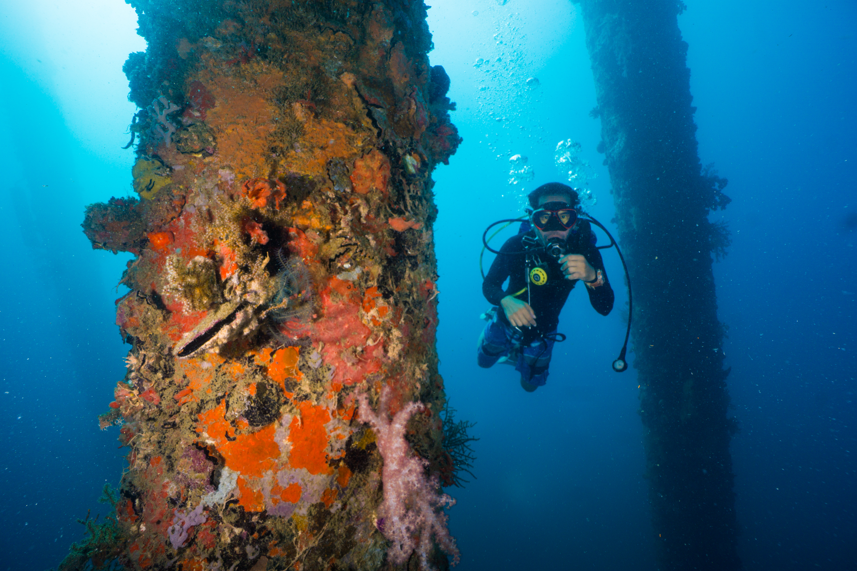 Therma Visayas’ Scubasureros remove close to 11,500-kg of marine waste in Toledo