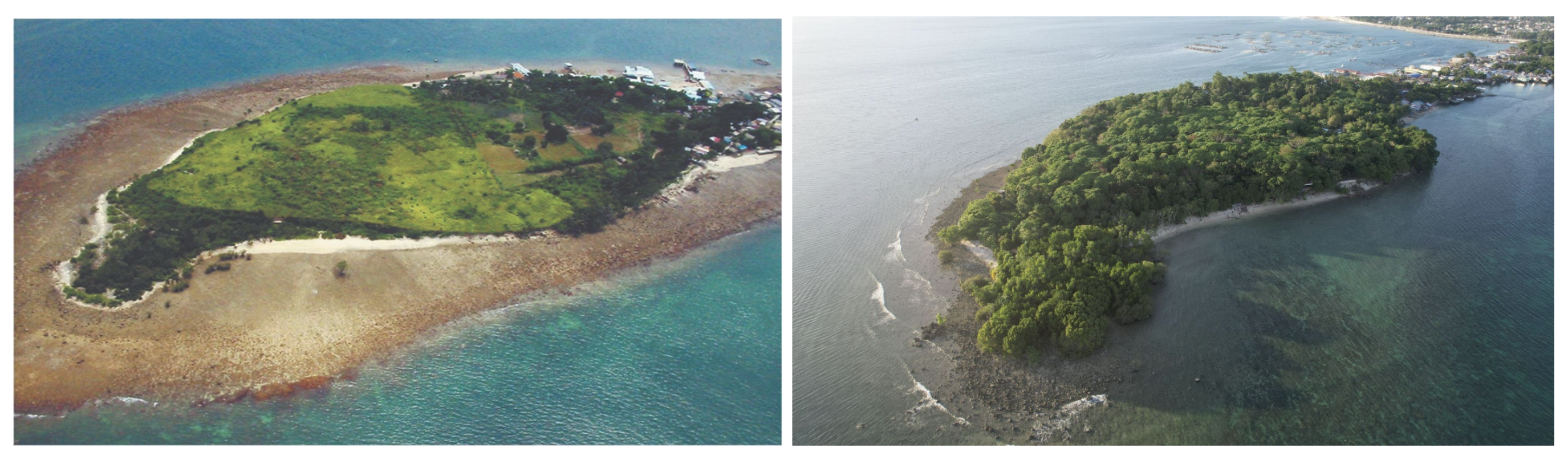 Earth Day bayanihan powers mangrove stewardship activities