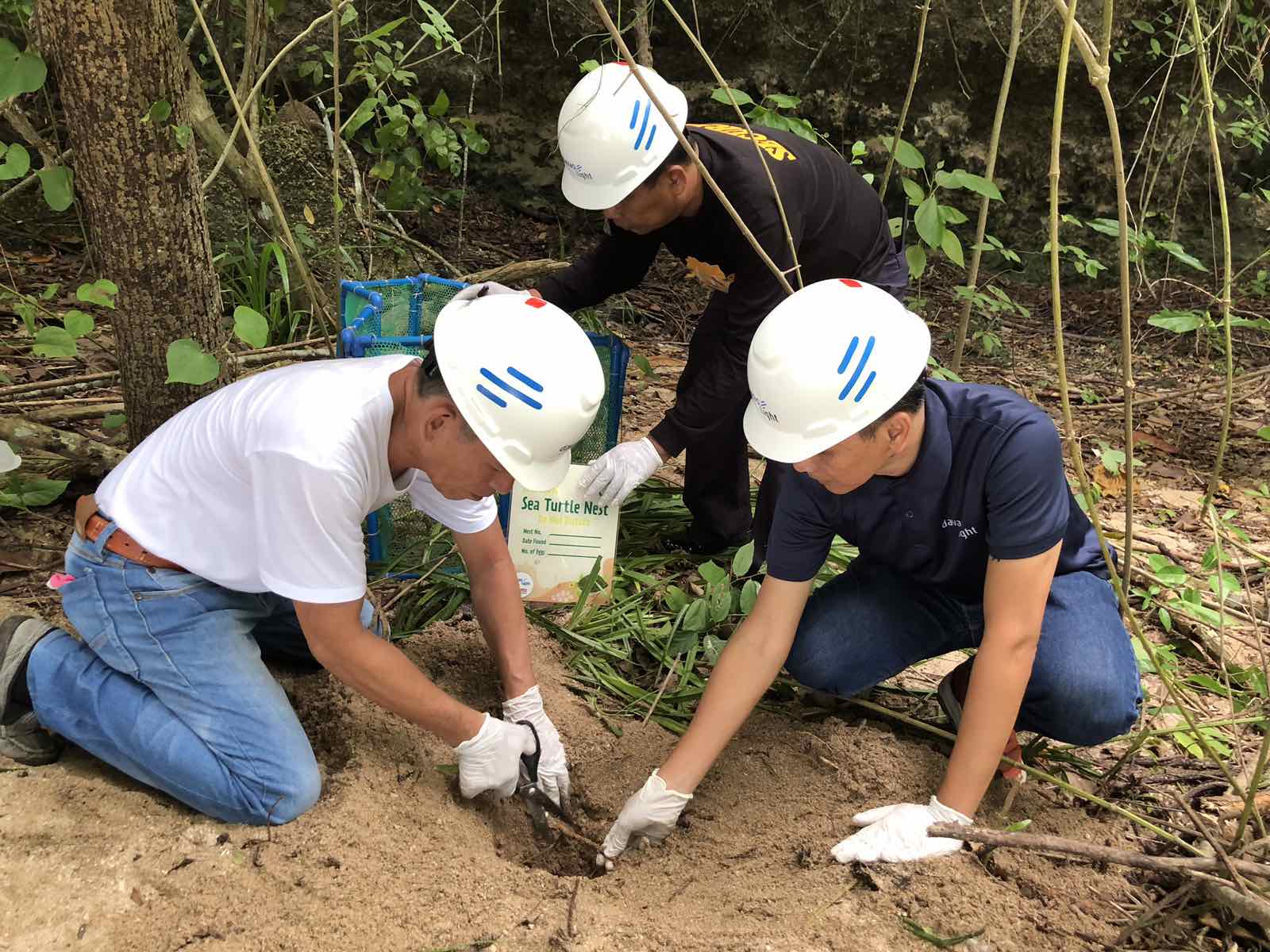 Where the Pawikans Are: The Aboitiz Cleanergy Park Pawikan Center in Punta Dumalag, Davao City