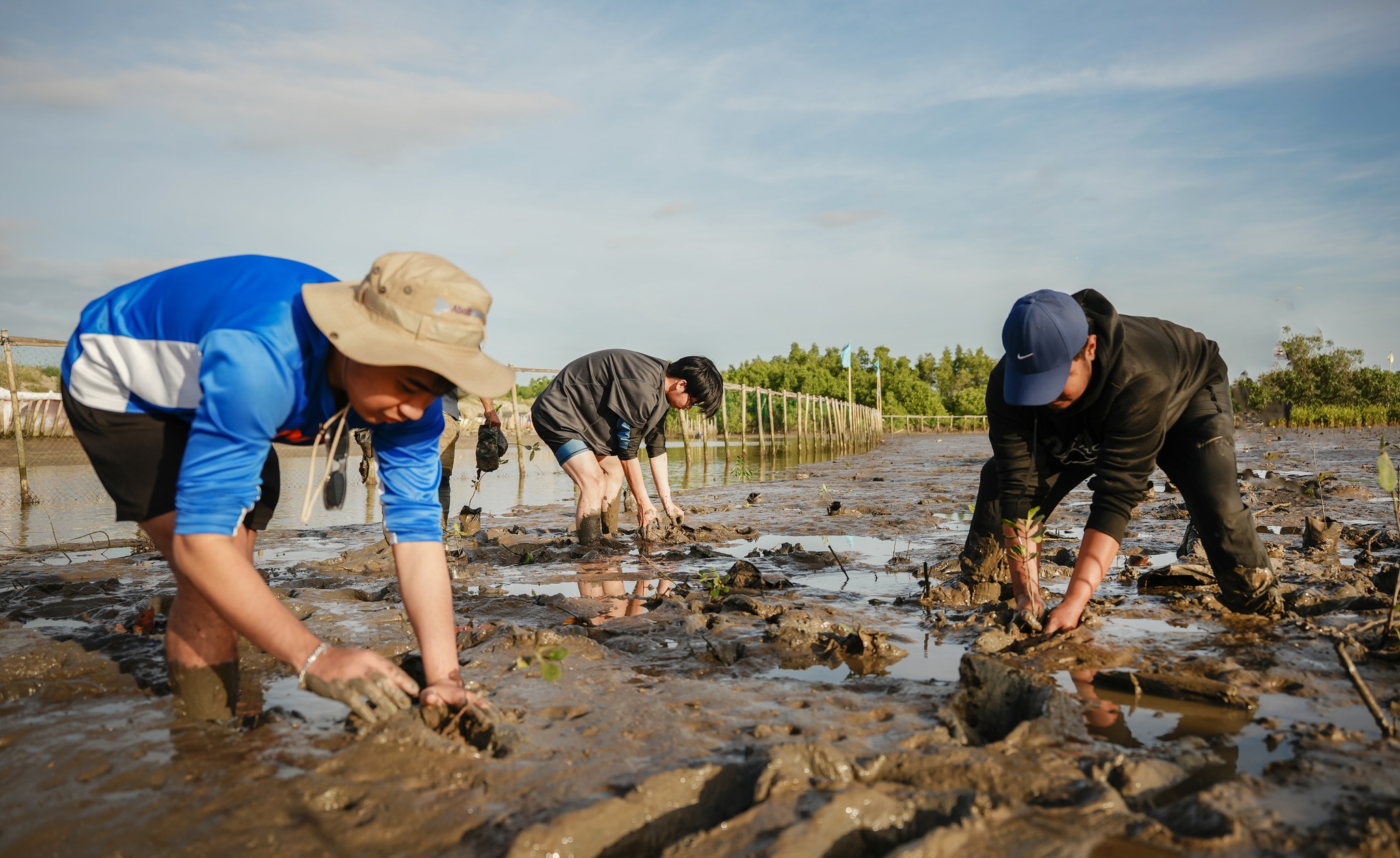 AboitizPower adopts 37 hectares of mangrove forests in Orani and Samal