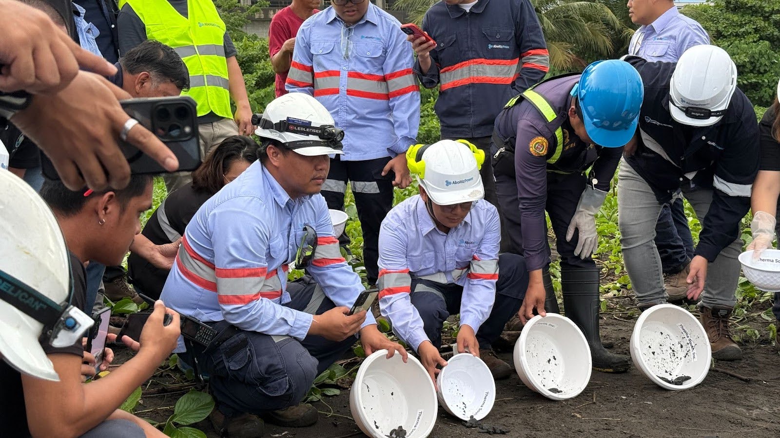 AboitizPower releases sea turtle hatchlings, highlights conservation efforts