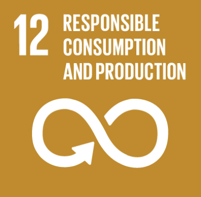 12-responsible-consumption-and-production