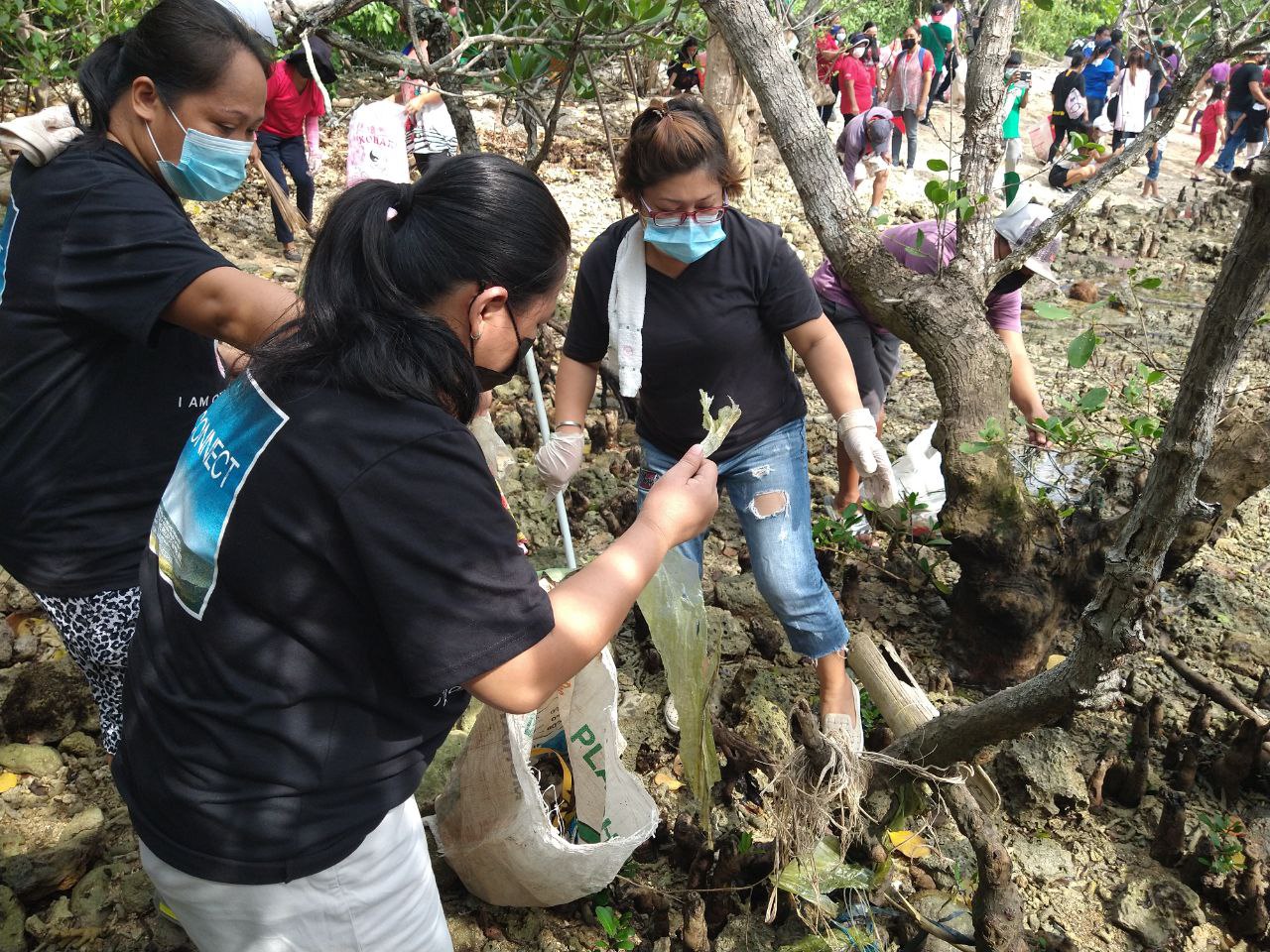 INC members help conserve the environment thru coastal clean up, tree planting