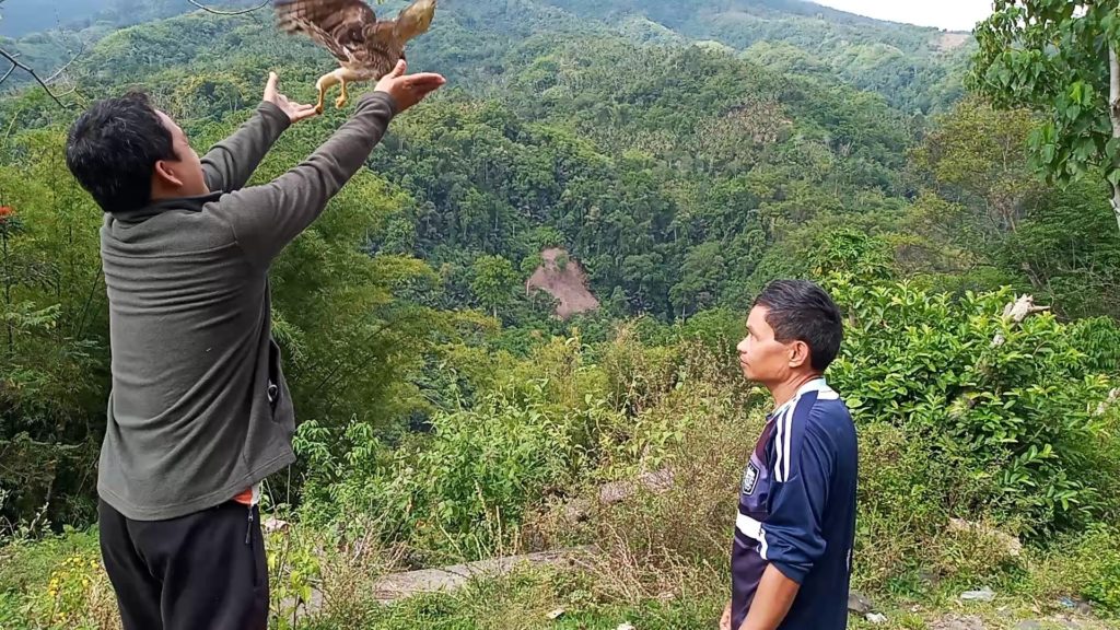 Hedcor hydropower plant guard saves young serpent eagle