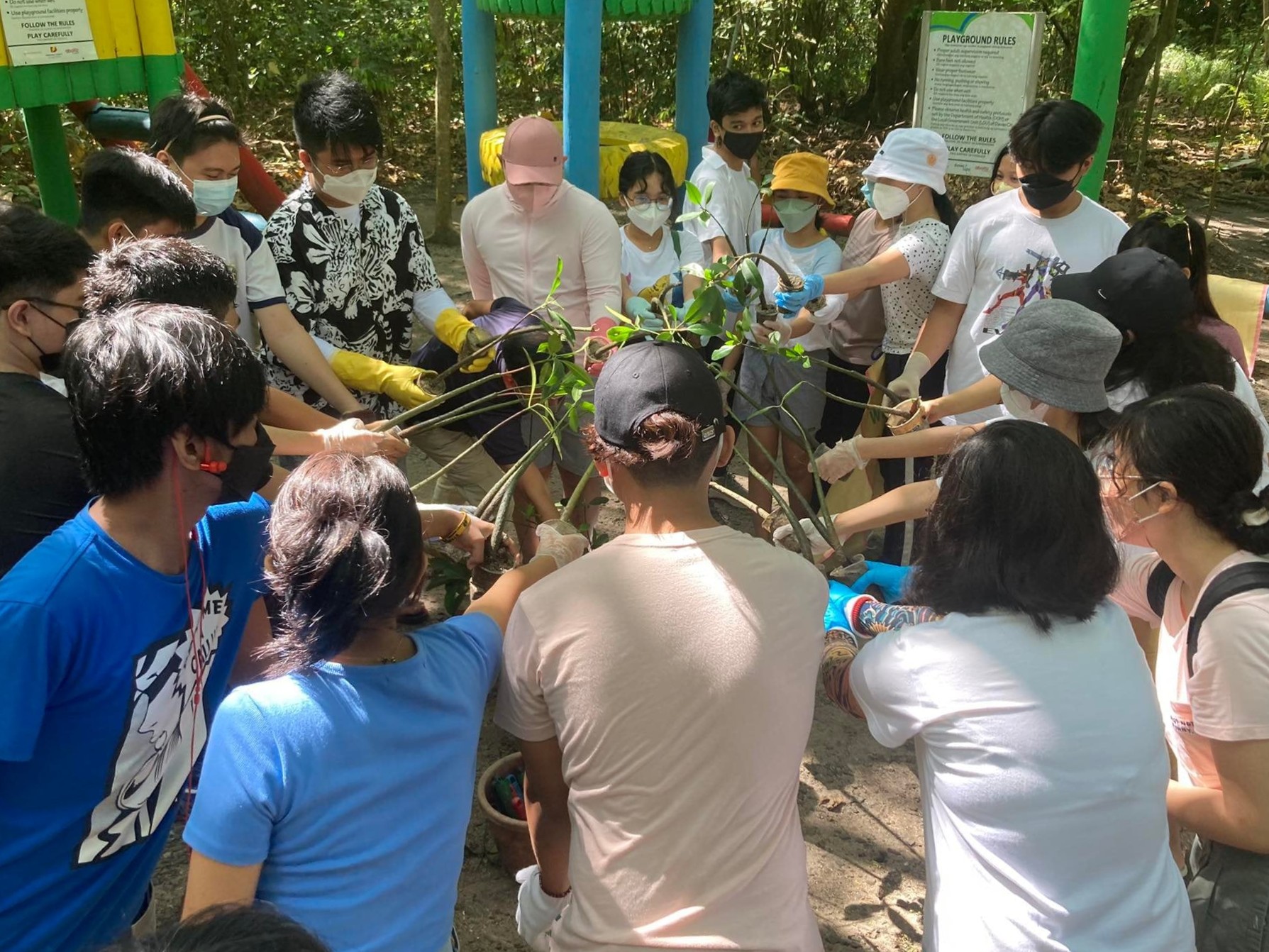 PISAY students conduct coastal clean up, plant mangroves in Aboitiz Cleanergy Park