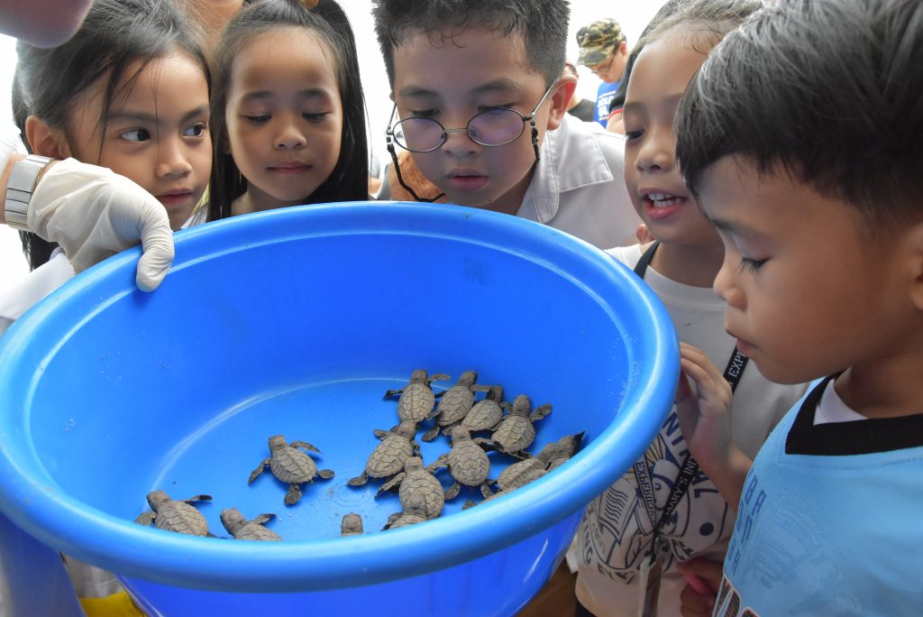Davao Light releases another batch of sea turtle hatchlings at the Cleanergy Park