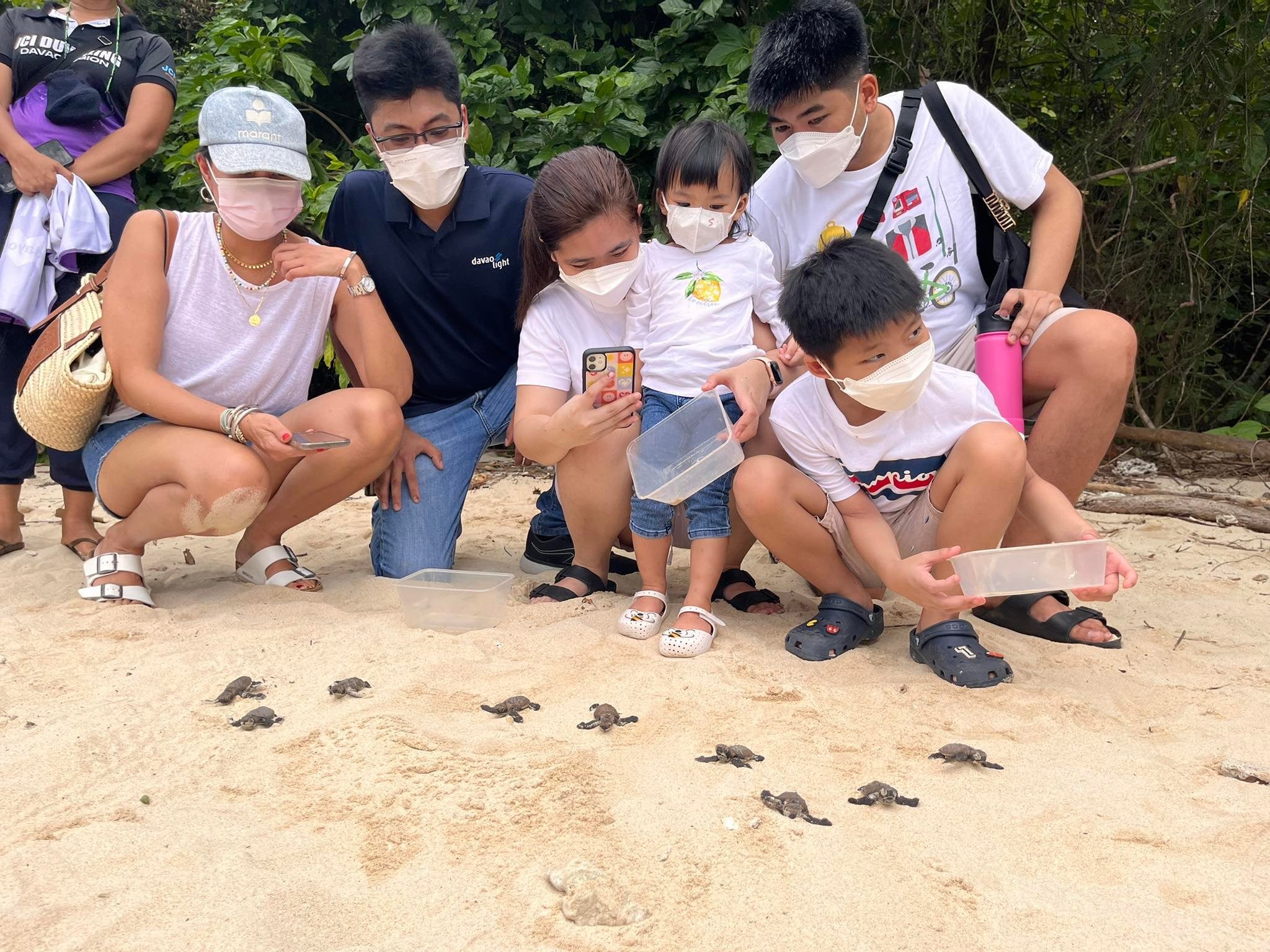 Pawikan hatchlings released, two more nests discovered