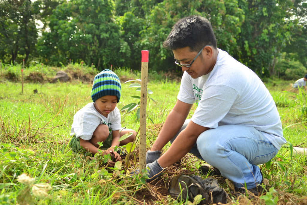 Back to our roots: 3 million trees star Hedcor’s greening efforts