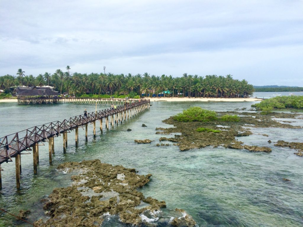 Siargao Island gets greener
