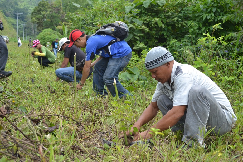 Hedcor to plant 25,000 trees through the help of locals, IP groups in 2021